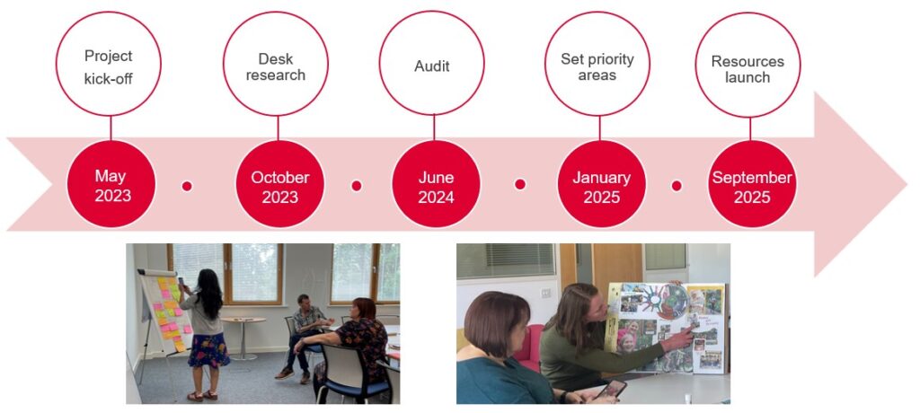 May 2023: Project kick-off October 2023: Desk research June 2024: Audit January 2025: Set priority areas September 2025: Resources launch